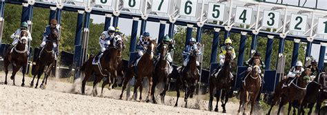 How To Pick Outsiders in Horse Racing (Outsider .